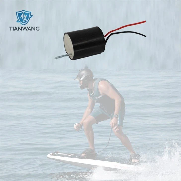 Powered Electric Body Board high voltage module