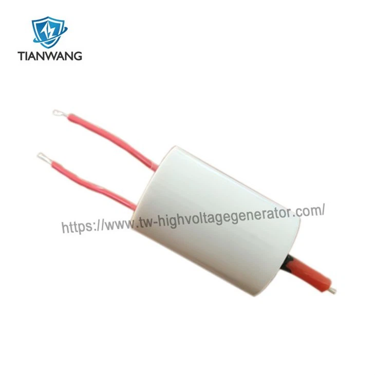 Beauty instrument Heater Coil